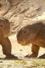 Nonton Film Life on Our Planet Season 1 Episode 4 Terbaru