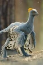 Nonton Film Life on Our Planet Season 1 Episode 6 Terbaru