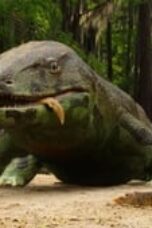 Nonton Film Life on Our Planet Season 1 Episode 1 Terbaru