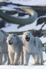 Nonton Film Life on Our Planet Season 1 Episode 8 Terbaru