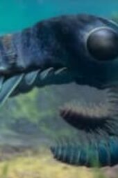 Nonton Film Life on Our Planet Season 1 Episode 2 Terbaru