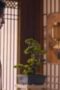 Nonton Film Sword and Fairy 4 Season 1 Episode 11 Terbaru Nonton Film Sword and Fairy 4 Season 1 Episode 11 Terbaru