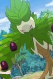 Nonton Film Pokémon Horizons: The Series Season 1 Episode 11 Terbaru