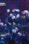 Nonton Film Street Woman Fighter Season 2 Episode 10 Terbaru Nonton Film Street Woman Fighter Season 2 Episode 10 Terbaru