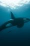 Nonton Film Earthsounds Season 1 Episode 8 Terbaru Nonton Film Earthsounds Season 1 Episode 8 Terbaru