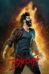 Nonton Film Bhediya (2022) Terbaru