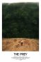 Nonton Film The Prey (2018) Terbaru Nonton Film The Prey (2018) Terbaru