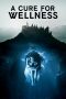 Nonton Film A Cure for Wellness (2016) Terbaru Nonton Film A Cure for Wellness (2016) Terbaru