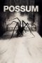 Nonton Film Possum (2018) Terbaru Nonton Film Possum (2018) Terbaru