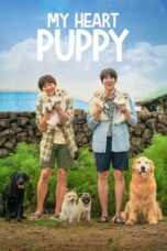 Nonton Film My Heart Puppy (2023) Terbaru
