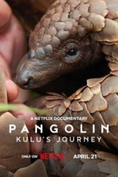 Nonton Film Pangolin: Kulu’s Journey (2025) Terbaru