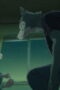 Nonton Film BEASTARS Season 3 Part 2 Episode 4 Terbaru