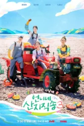 Nonton Film Fresh off the Sea Season 3 (2026) Terbaru